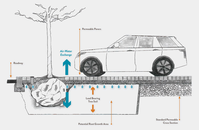 Diagram of stormwater management paving around trees using a PICP system from Belgard Commercial.